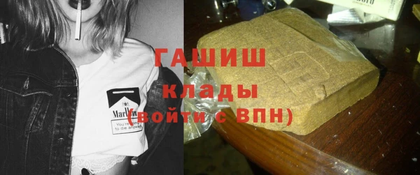 дмт Бородино