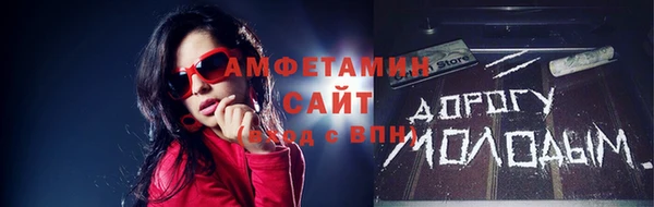 дмт Бородино