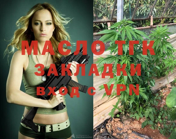 дмт Бородино