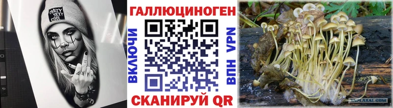 мориарти официальный сайт  Луза  Псилоцибиновые грибы Psilocybe  купить  